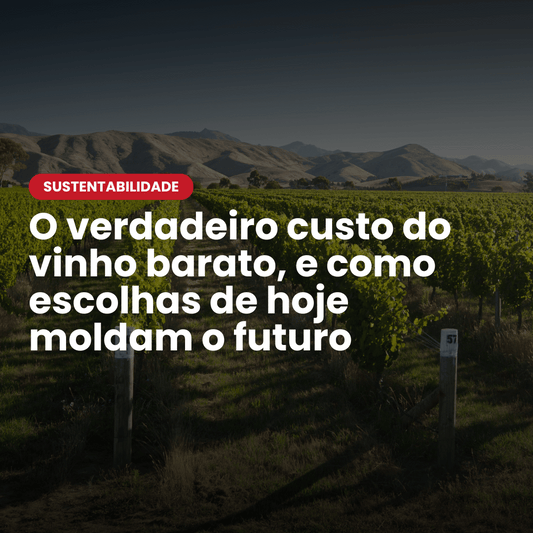 O verdadeiro custo do vinho barato