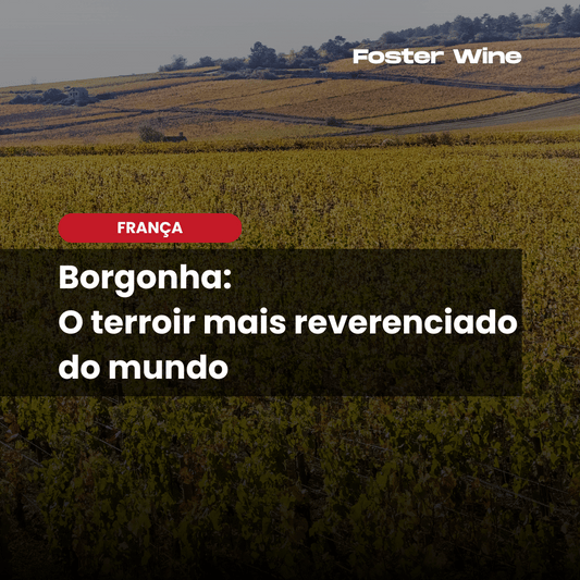 Por que a Borgonha é o terroir mais reverenciado do mundo?