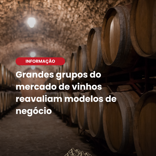 Grupos líderes do vinho ajustam estratégias no 1º trimestre de 2025