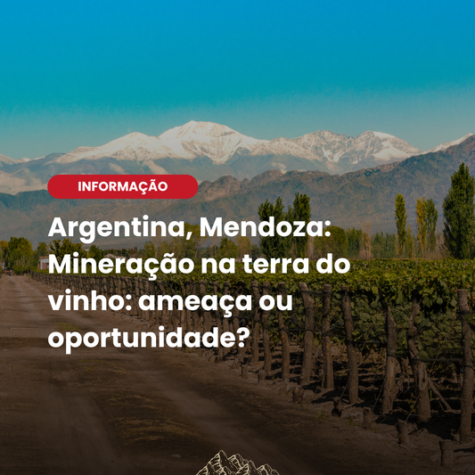 Mendoza avalia mineração de cobre para impulsionar economia