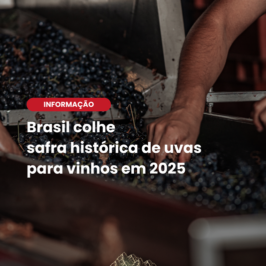 Brasil colhe safra histórica de uvas para vinhos em 2025