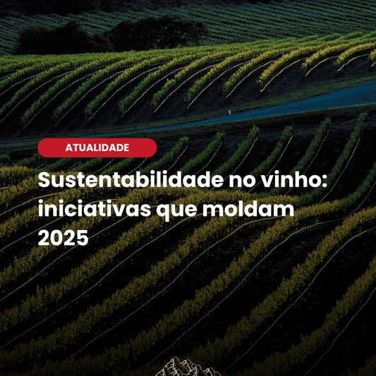 O futuro do vinho: veja como o setor está mudando