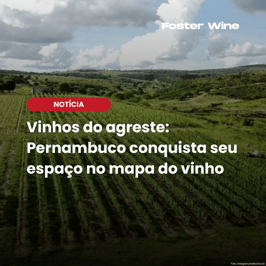 Agreste de Pernambuco estreia no mapa dos vinhos finos do Brasil