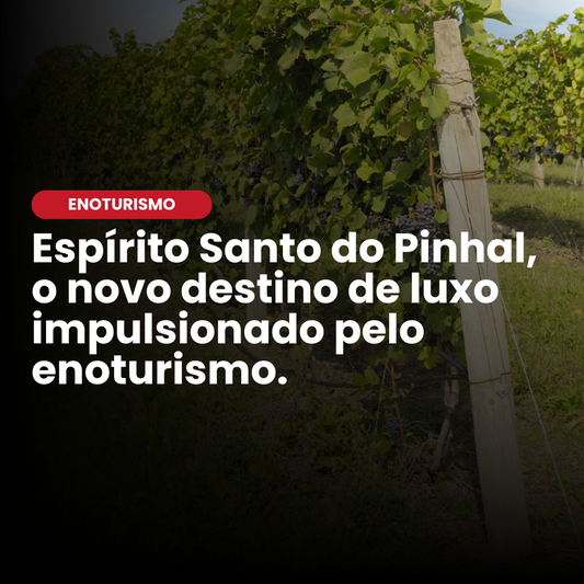 Espírito Santo do Pinhal: o novo destino de luxo impulsionado pelo enoturismo