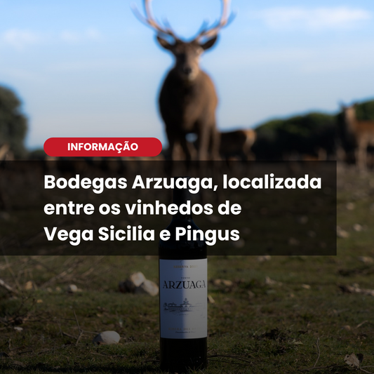 Conheça a Tradição da Bodegas Arzuaga Navarro