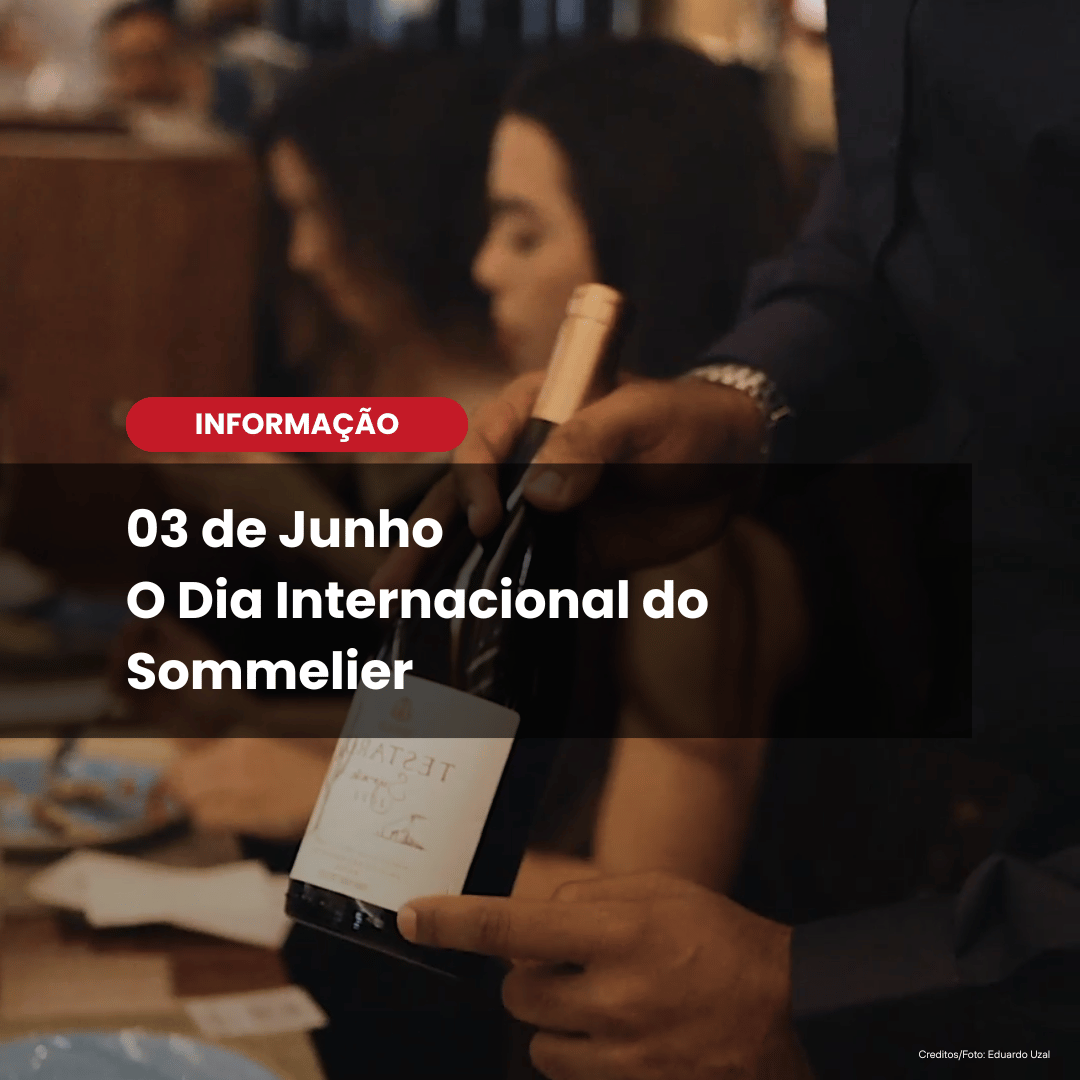 A Profissão que Traduz o Vinho em Experiência
