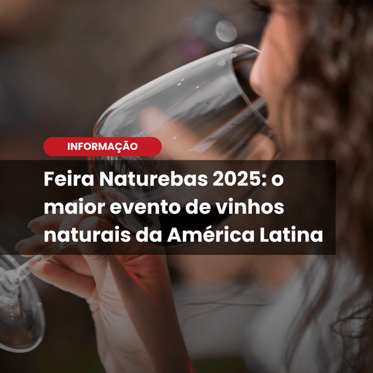 Feira Naturebas 2025: referência em vinhos naturais, orgânicos e biodinâmicos