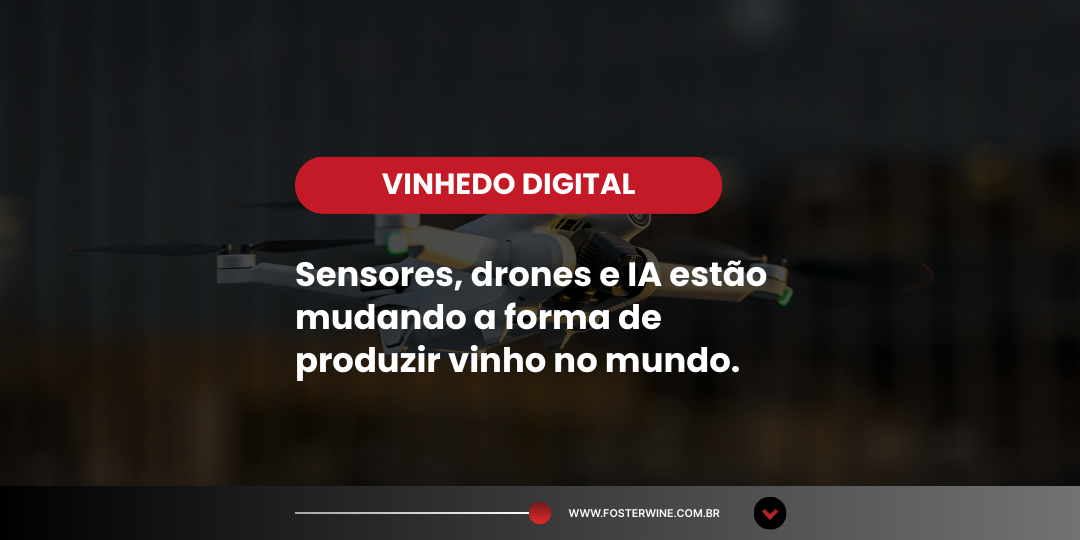 Tecnologia no vinhedo: sensores, drones e IA na viticultura