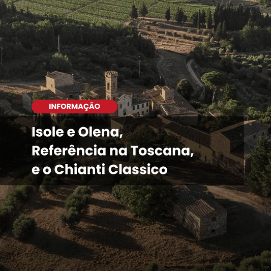 Isole e Olena: tradição, precisão e identidade no coração do Chianti Classico