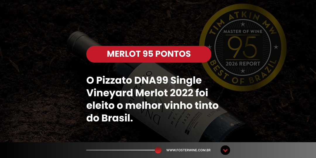 Pizzato DNA99 2022 é eleito Melhor Tinto do Brasil