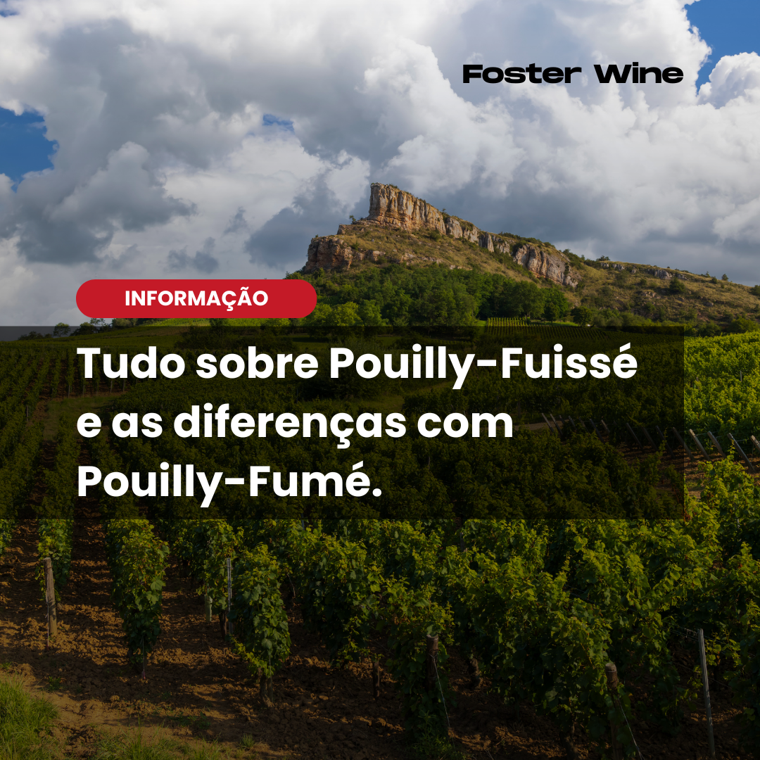Pouilly-Fuissé: o branco elegante da Borgonha