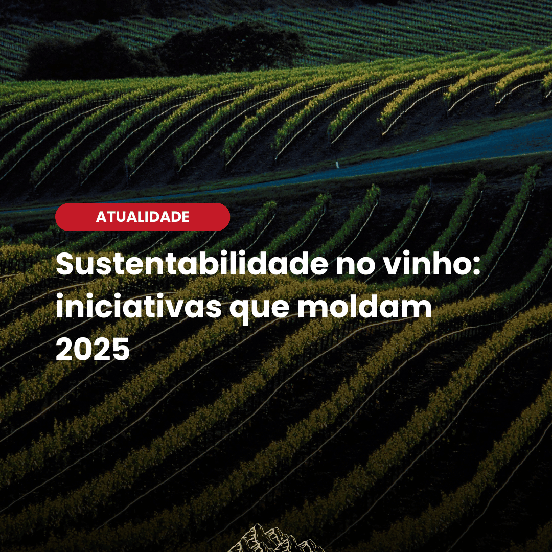 O futuro do vinho: veja como o setor está mudando