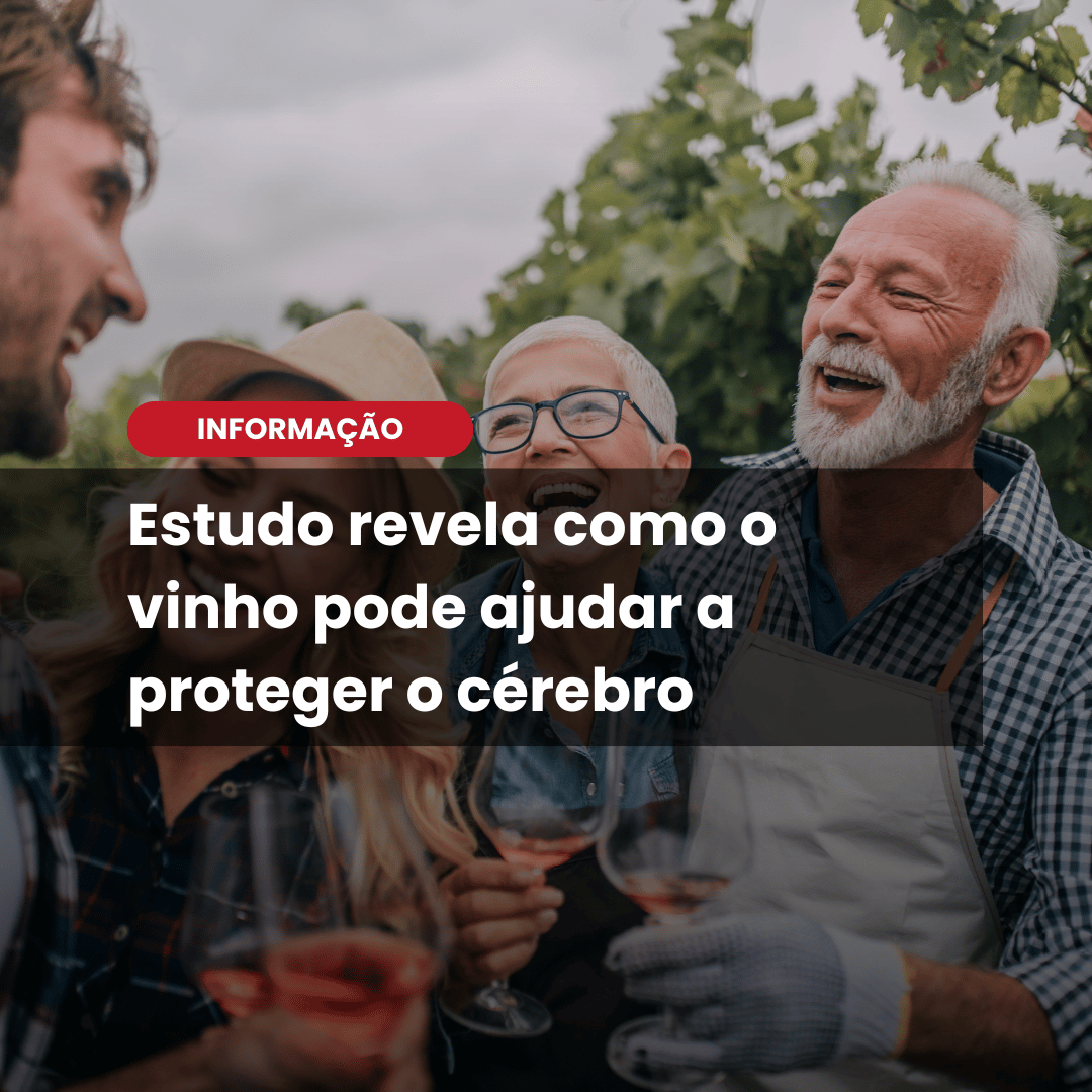 Vinho pode proteger o cérebro, diz estudo com 95 pesquisas