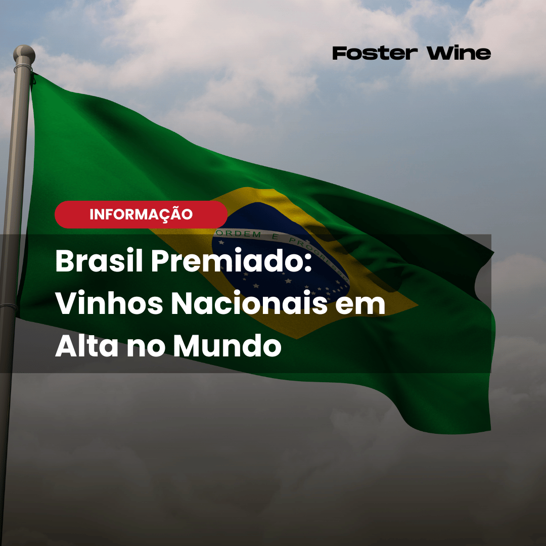 Vinhos brasileiros premiados em 2025 ganham destaque internacional