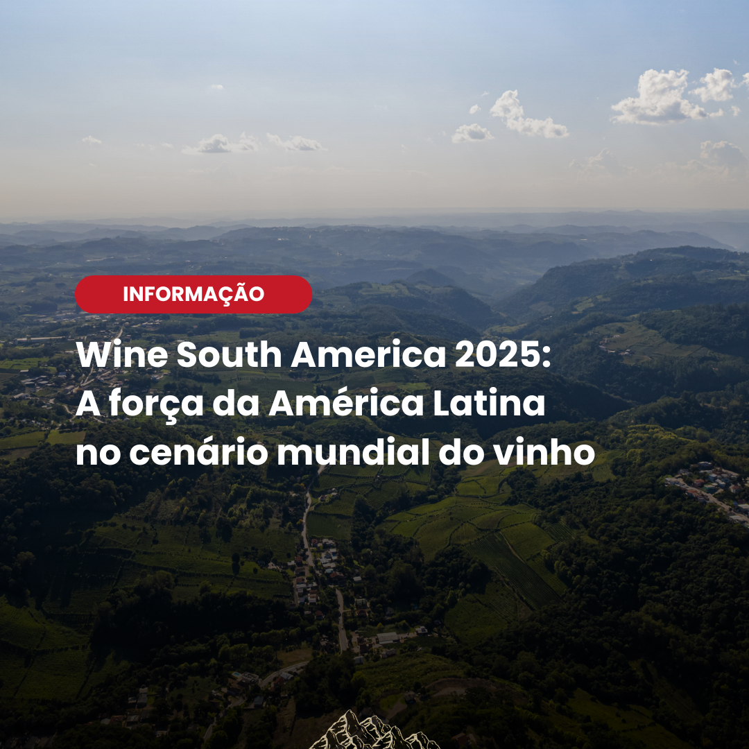 Wine South America 2025: Bento Gonçalves recebe a maior feira de vinhos da América Latina