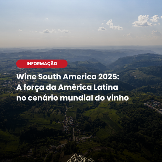 Wine South America 2025: Bento Gonçalves recebe a maior feira de vinhos da América Latina
